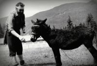 Klik za večjo sliko