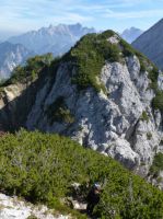 Klik za večjo sliko