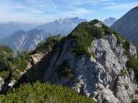 Klik za večjo sliko