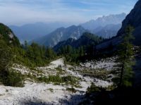 Klik za večjo sliko