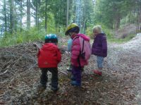 Klik za večjo sliko