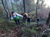 Klik za večjo sliko