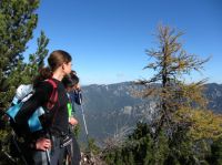 Klik za večjo sliko