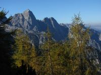 Klik za večjo sliko