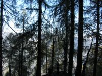 Klik za večjo sliko