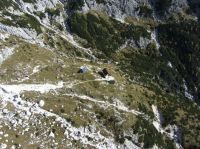 Klik za večjo sliko