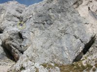 Klik za večjo sliko