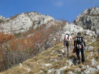 Klik za večjo sliko