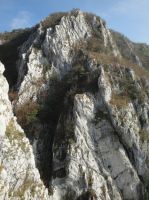 Klik za večjo sliko