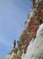 Klik za večjo sliko