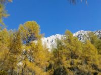 Klik za večjo sliko