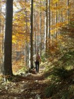 Klik za večjo sliko