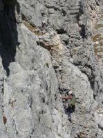 Klik za večjo sliko