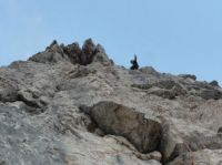 Klik za večjo sliko