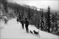 Klik za večjo sliko