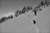 Klik za večjo sliko