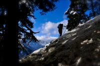 Klik za večjo sliko