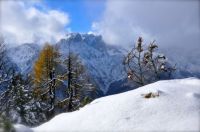 Klik za večjo sliko