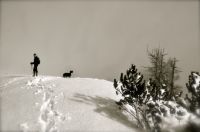 Klik za večjo sliko