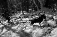 Klik za večjo sliko