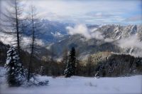 Klik za večjo sliko