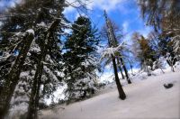 Klik za večjo sliko