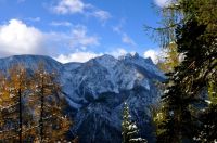 Klik za večjo sliko