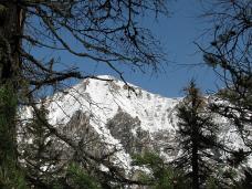 Klik za večjo sliko