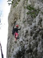 Klik za večjo sliko