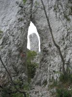 Klik za večjo sliko