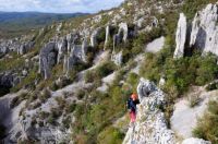 Klik za večjo sliko