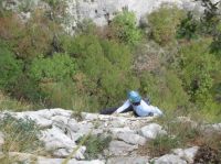 Klik za večjo sliko