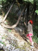 Klik za večjo sliko