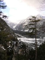 Klik za večjo sliko