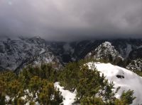 Klik za večjo sliko