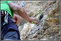 Klik za večjo sliko