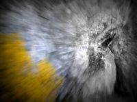 Klik za večjo sliko