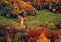 Klik za večjo sliko