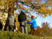 Klik za večjo sliko