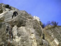 Klik za večjo sliko