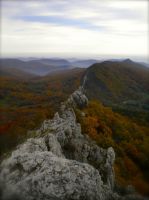 Klik za večjo sliko