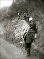 Klik za večjo sliko