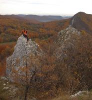 Klik za večjo sliko