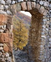 Klik za večjo sliko