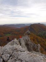 Klik za večjo sliko