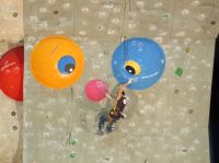 Klik za večjo sliko