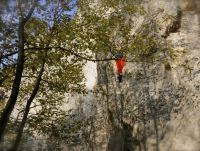 Klik za večjo sliko