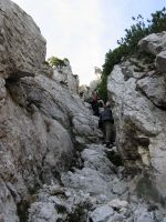 Klik za večjo sliko