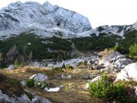 Klik za večjo sliko