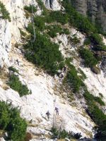 Klik za večjo sliko